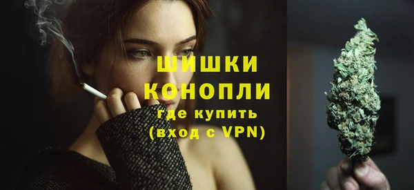 дмт Бородино