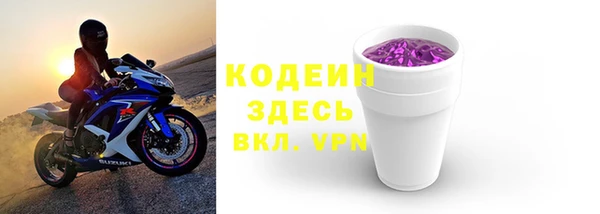 дмт Бородино