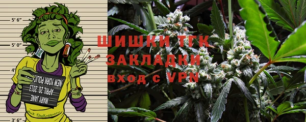 дмт Бородино