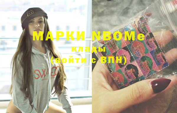 дмт Бородино