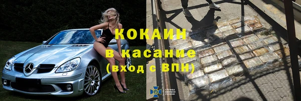 дмт Бородино