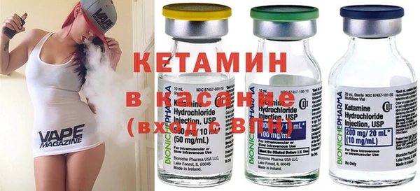 дмт Бородино