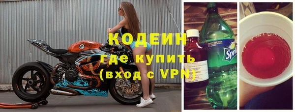 дмт Бородино